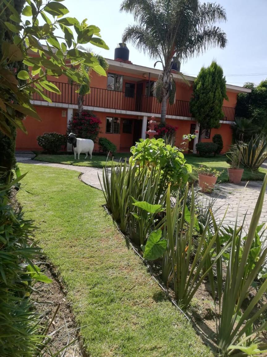 Villas Hotel Cholula Eksteriør billede
